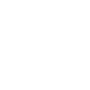 Bag Shop Icon