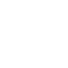 Cupcake Icon